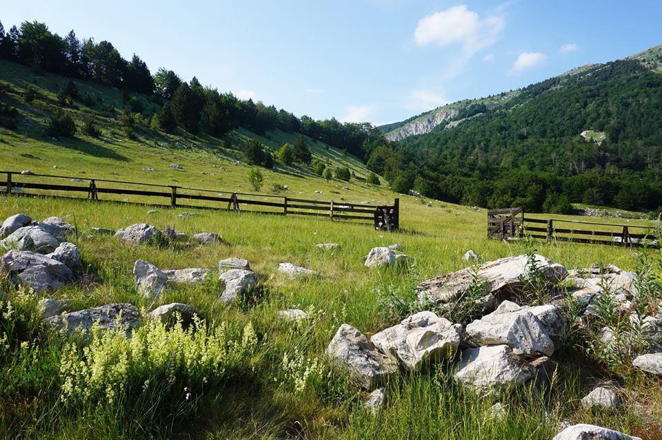 Вилла Mountain House Varda Ledenice Экстерьер фото